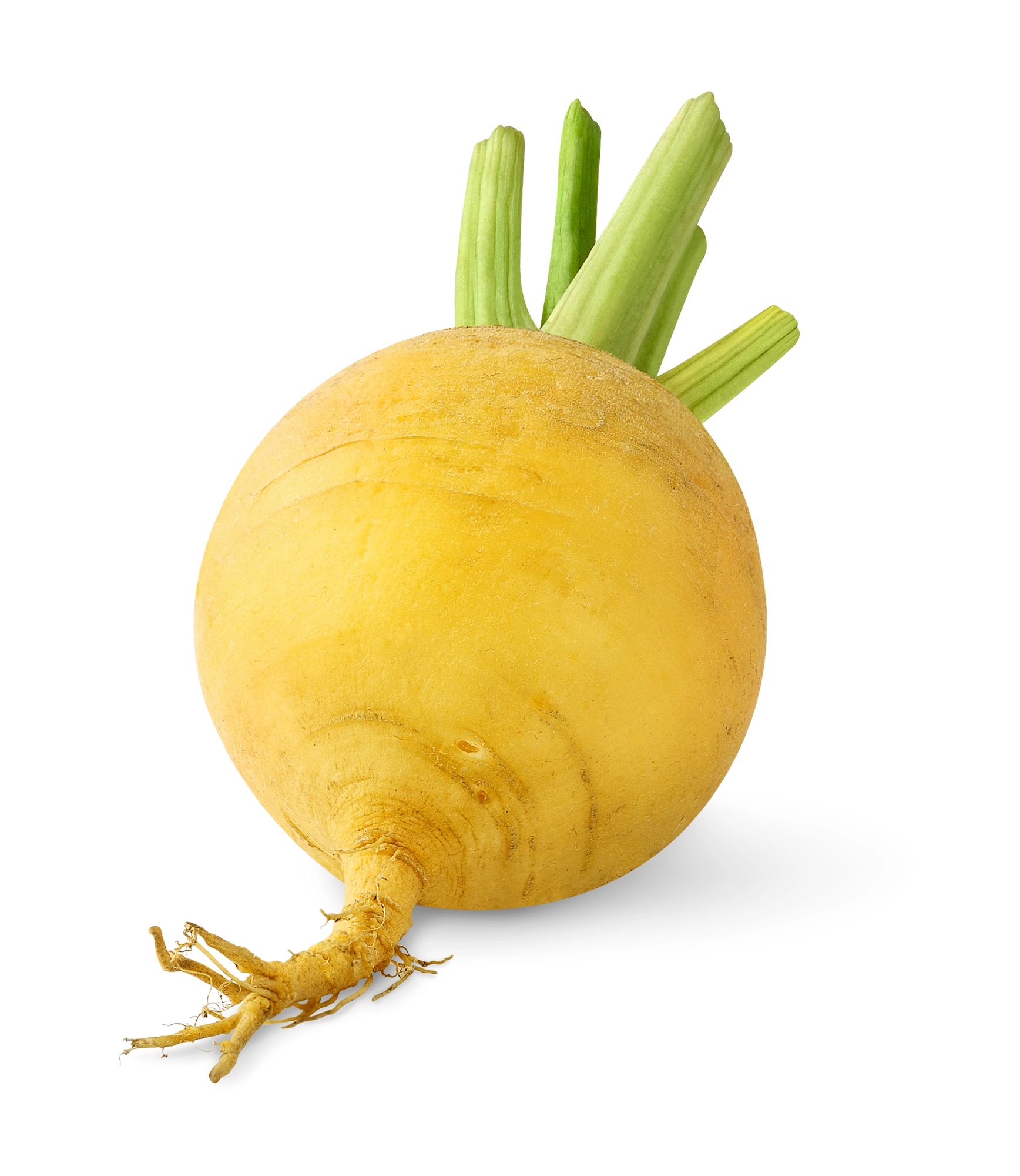 Round yellow turnip with green stems attached