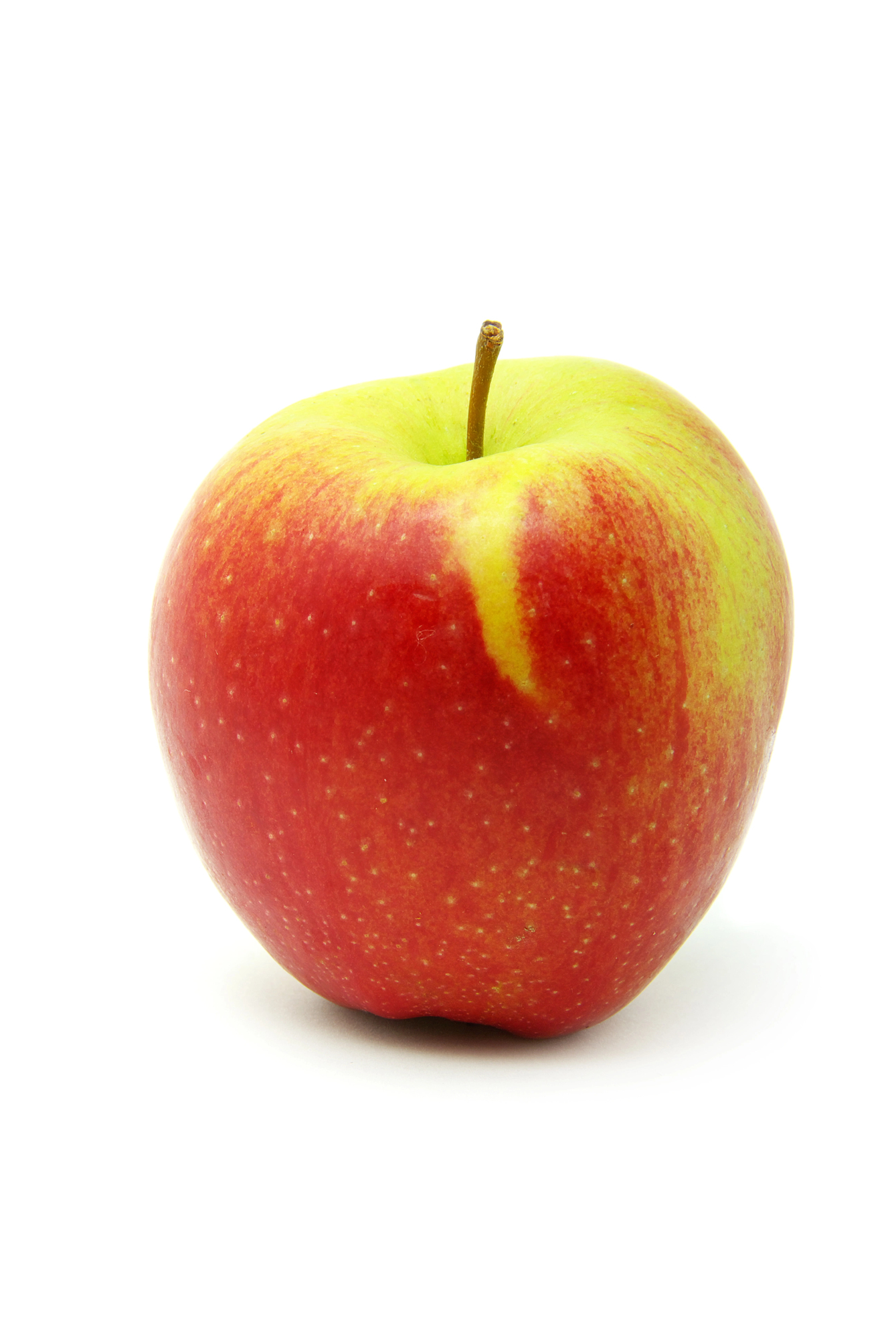 Red and yellow apple with stem