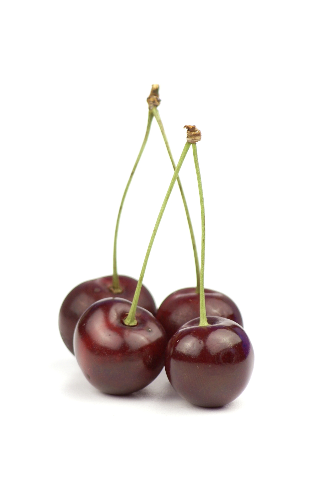 Two dark red cherries with long green stems