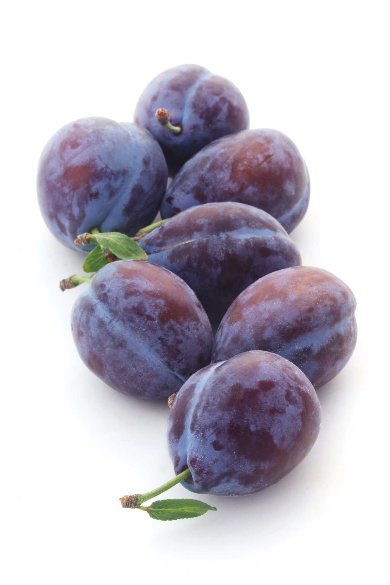 Seven dark purple plums with green stems