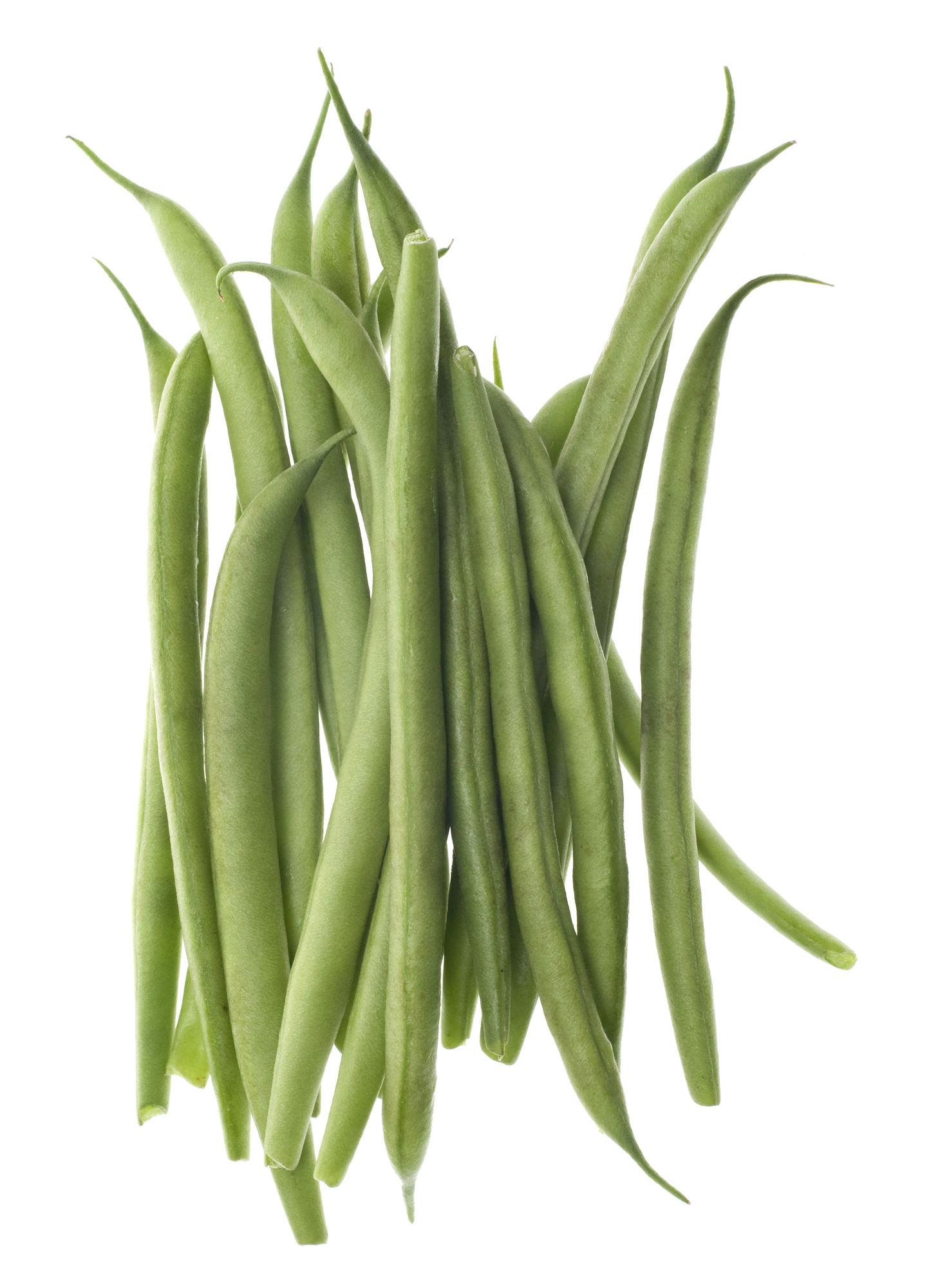Pile of fresh green beans