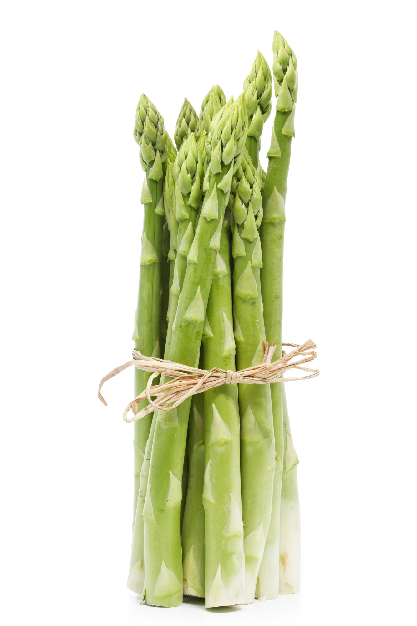 Fresh green asparagus bundle tied with twine