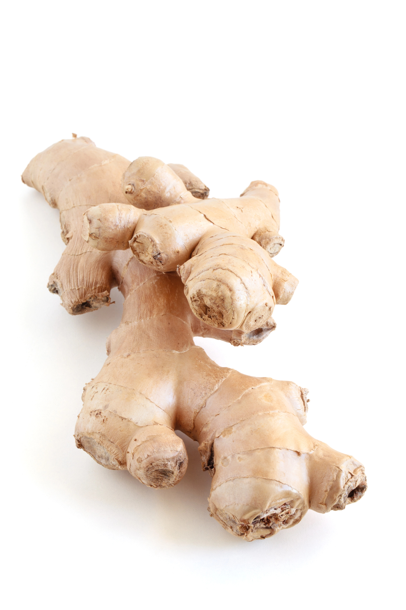 Fresh root ginger with multiple knobby sections