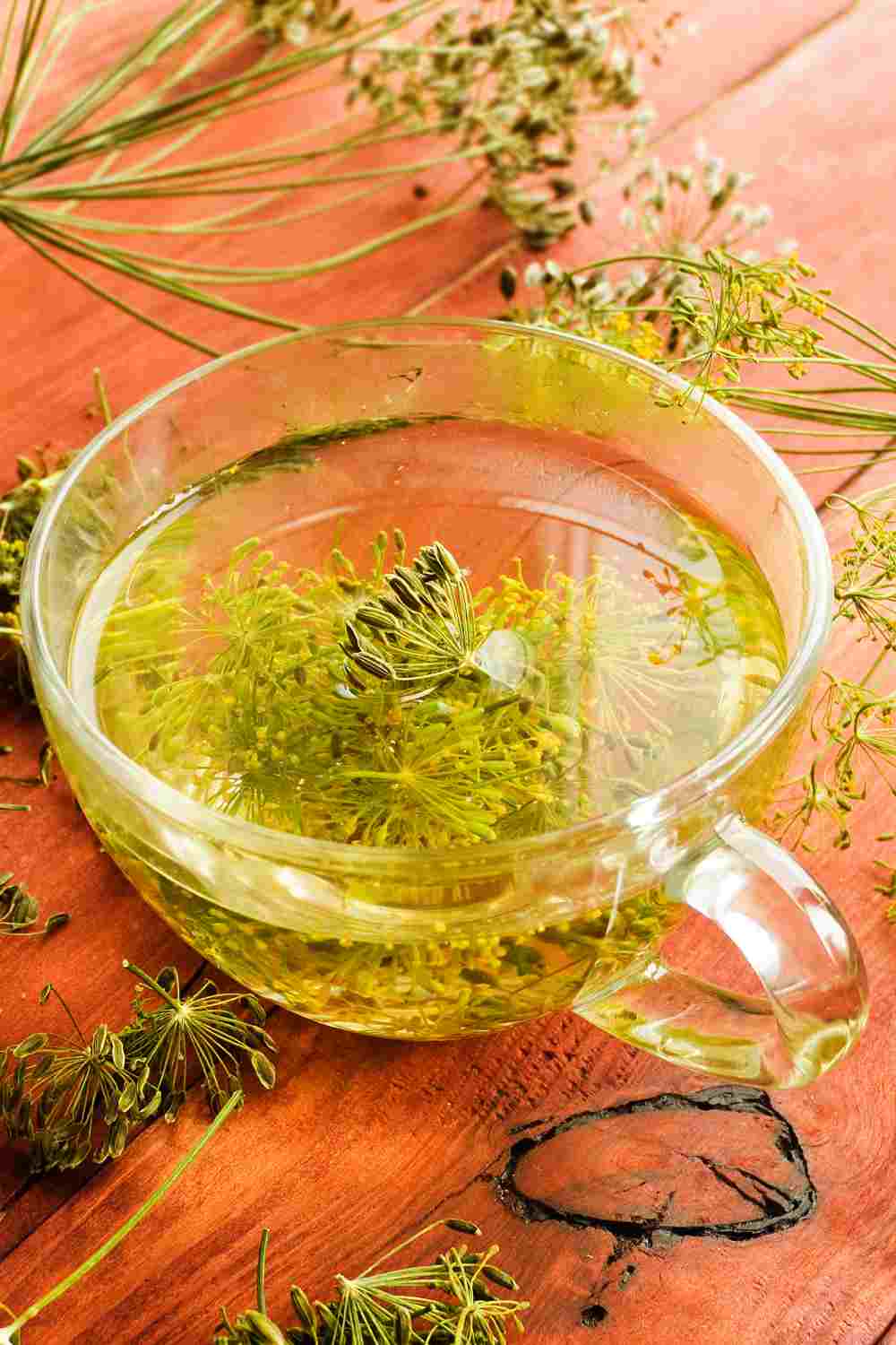 Dill Seed Tea