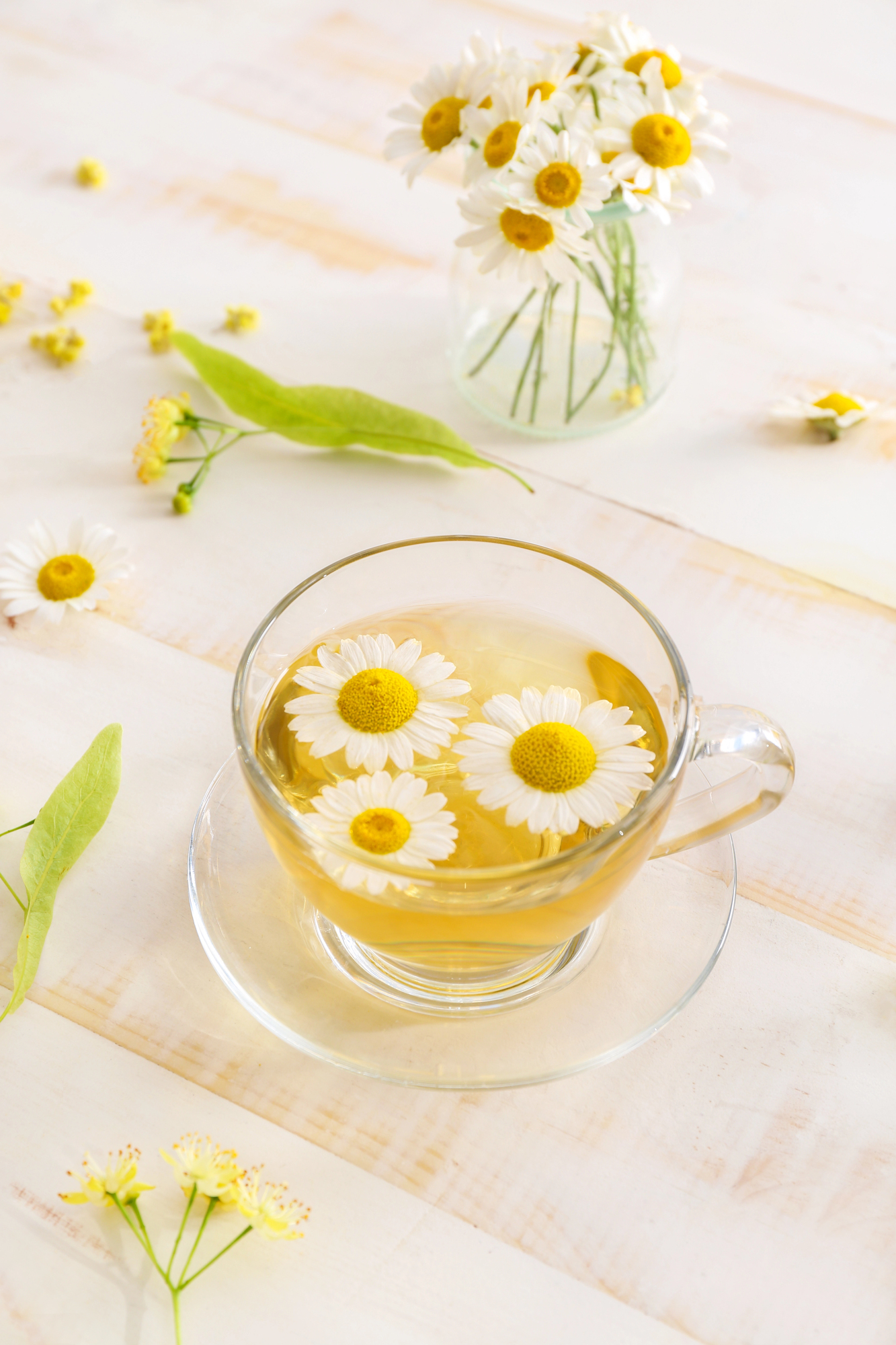 Cup of chamomile tea with flowers floating in it