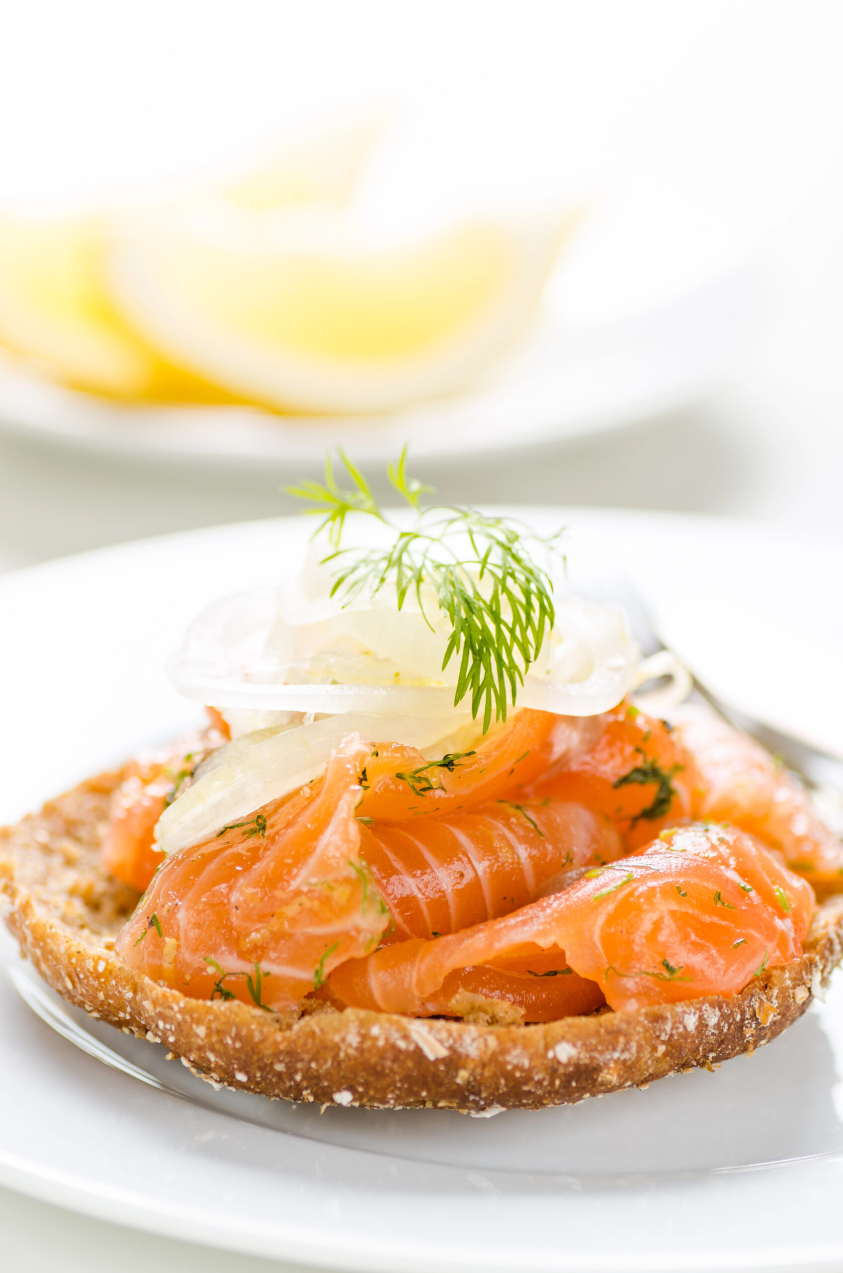 Smoked salmon on toasted rye bread with dill