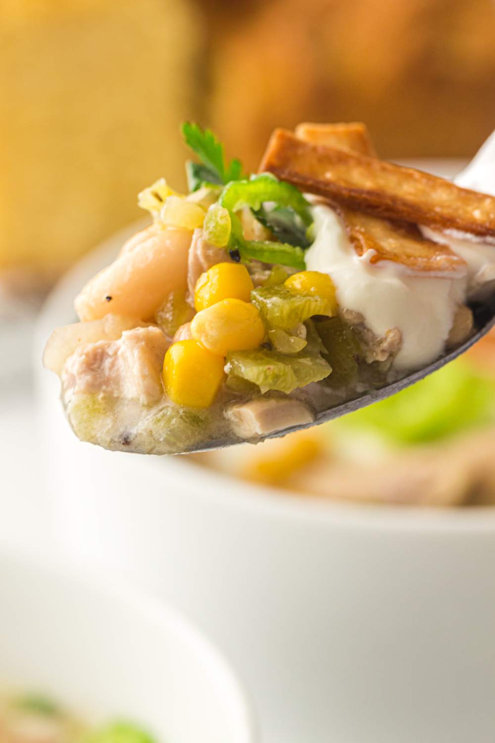 White Chicken Chilli Close-Up