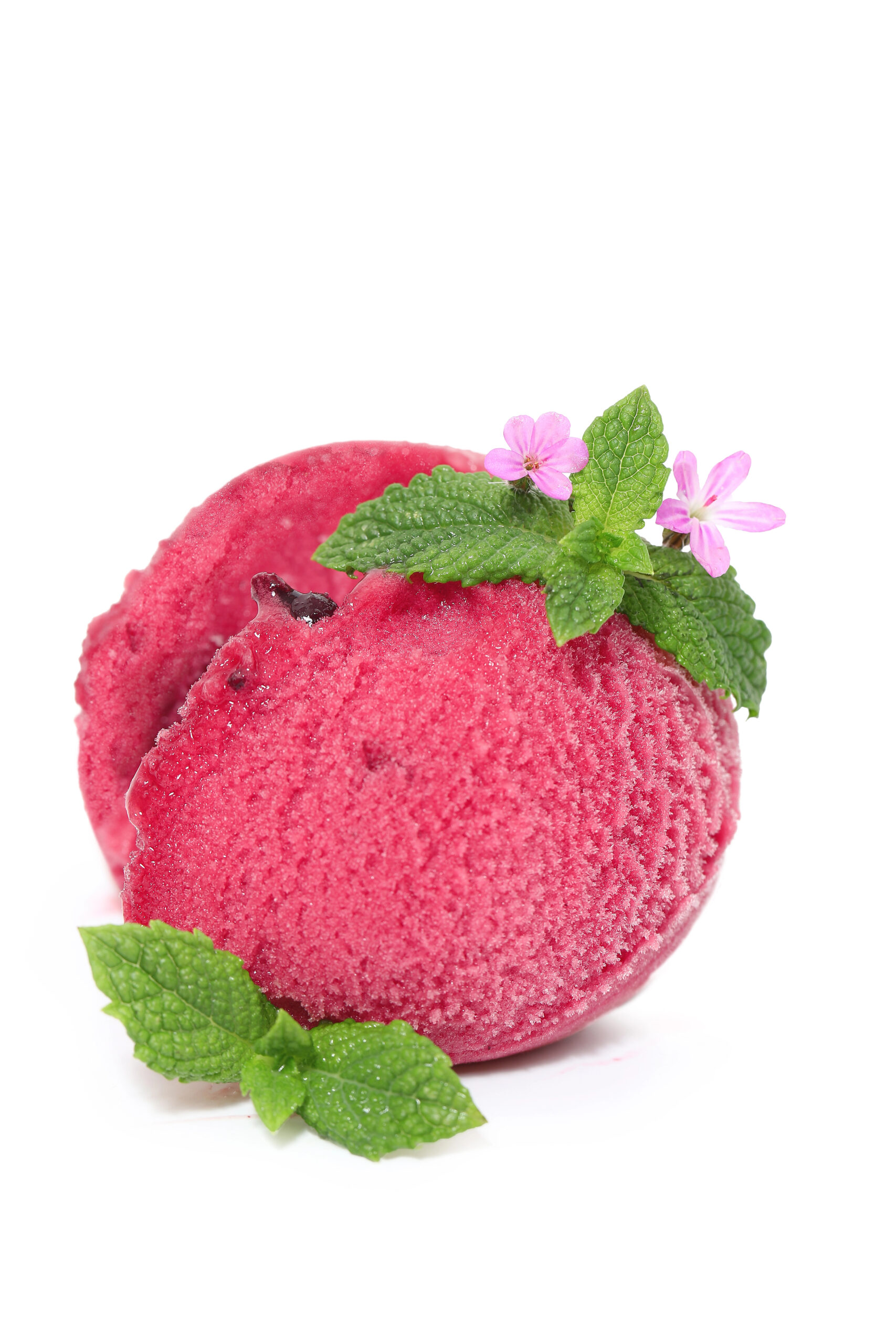 Raspberry sorbet with green leaves and pink flowers
