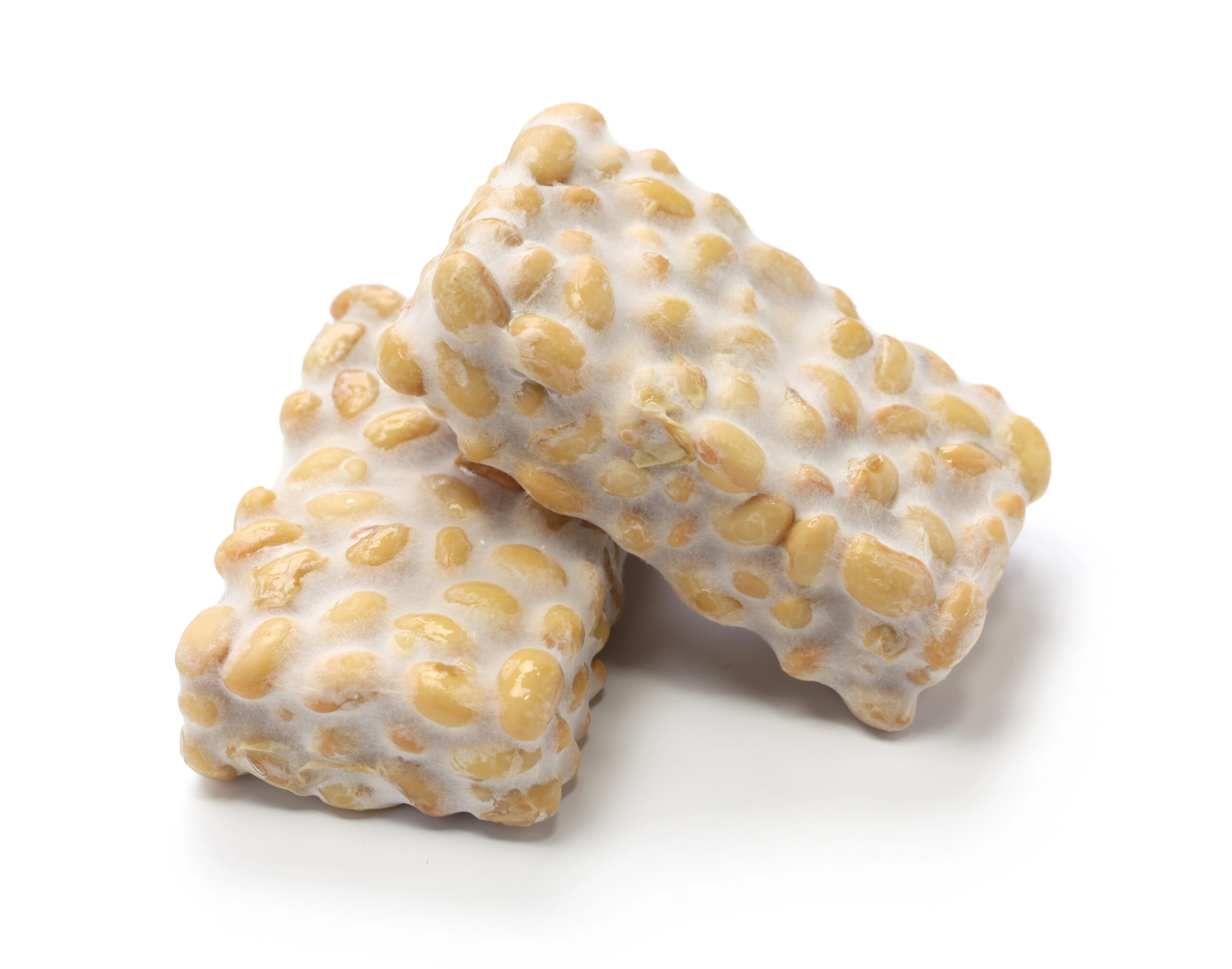 Two blocks of fresh tempeh with soy bean pieces
