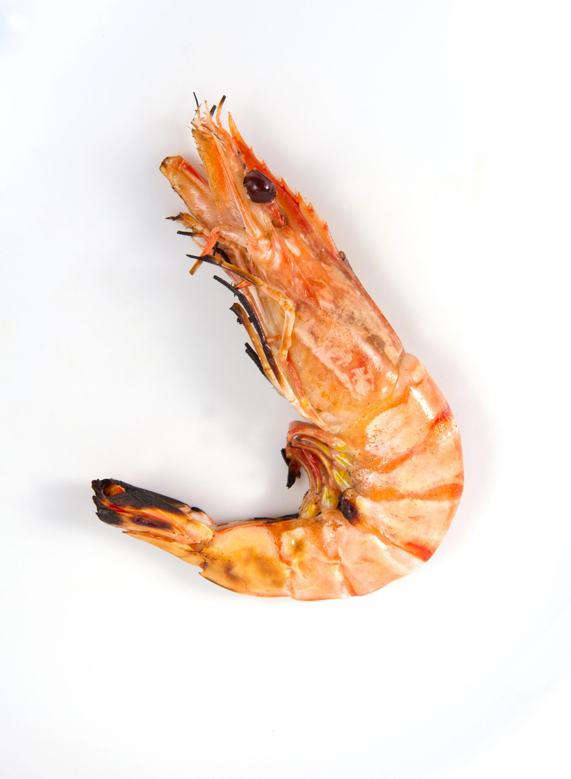 Cooked shrimp with head and tail intact