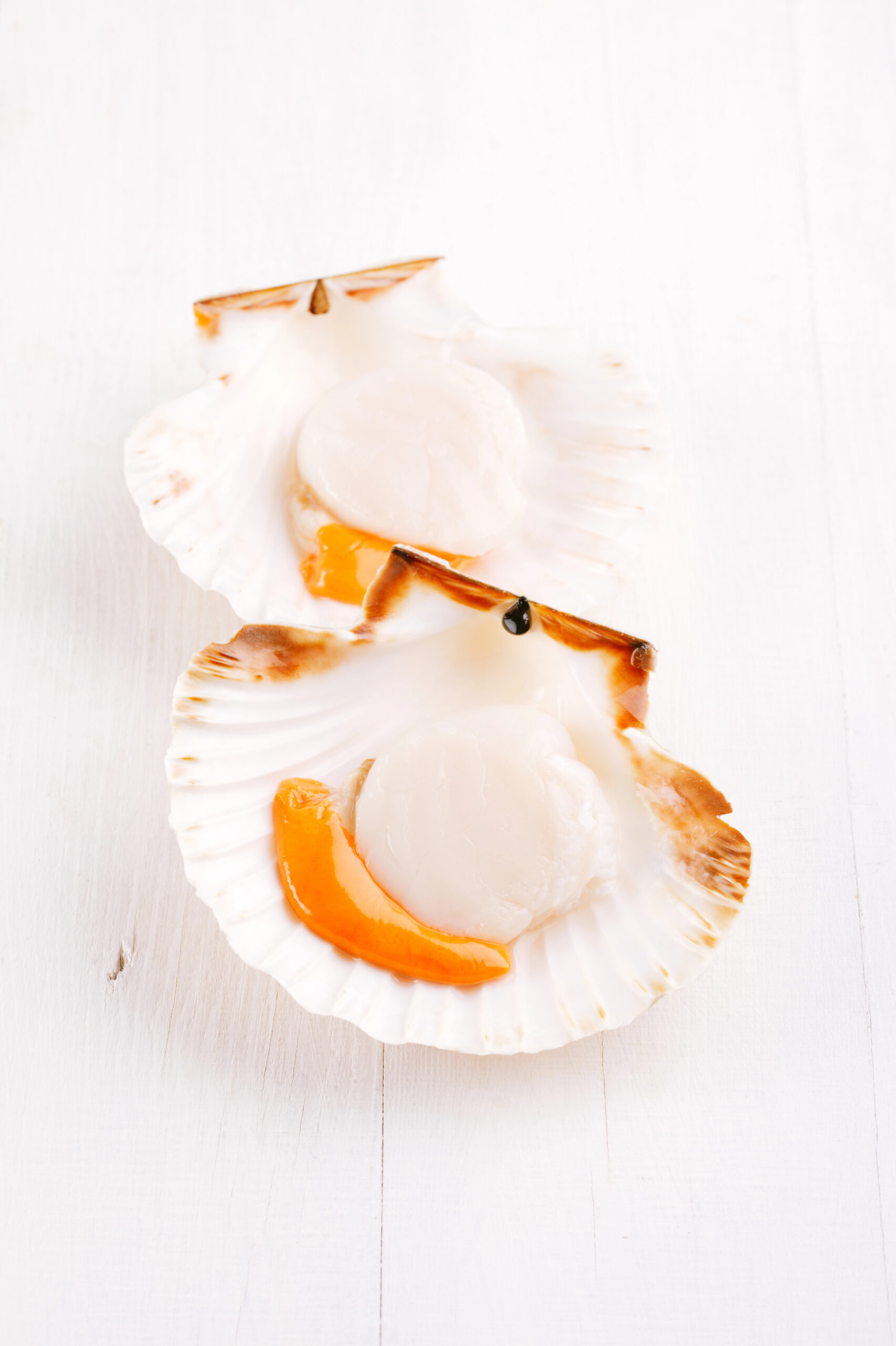 Two open raw scallops with orange roe