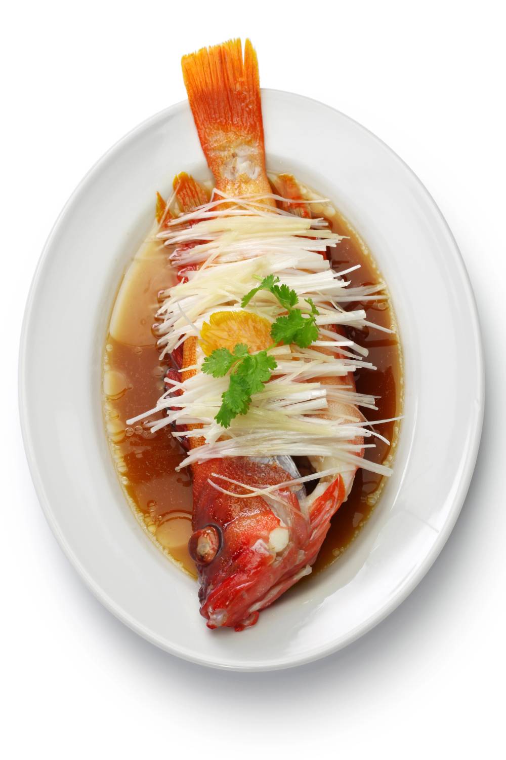 Steamed Snapper