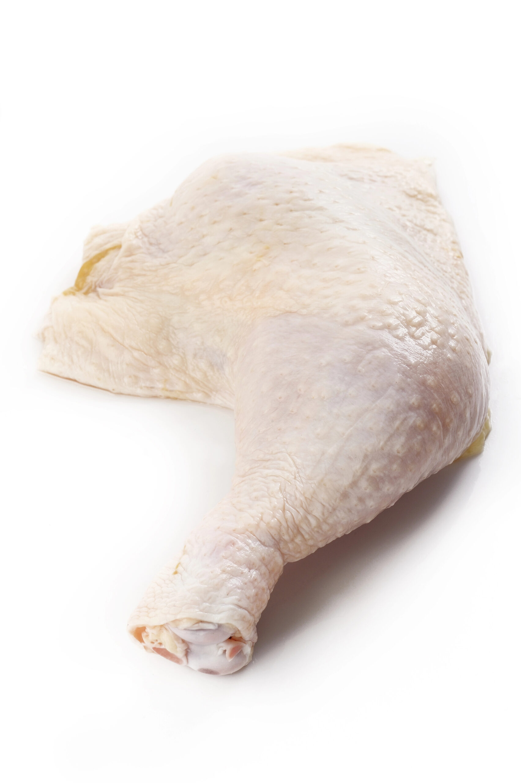 Raw chicken leg with skin