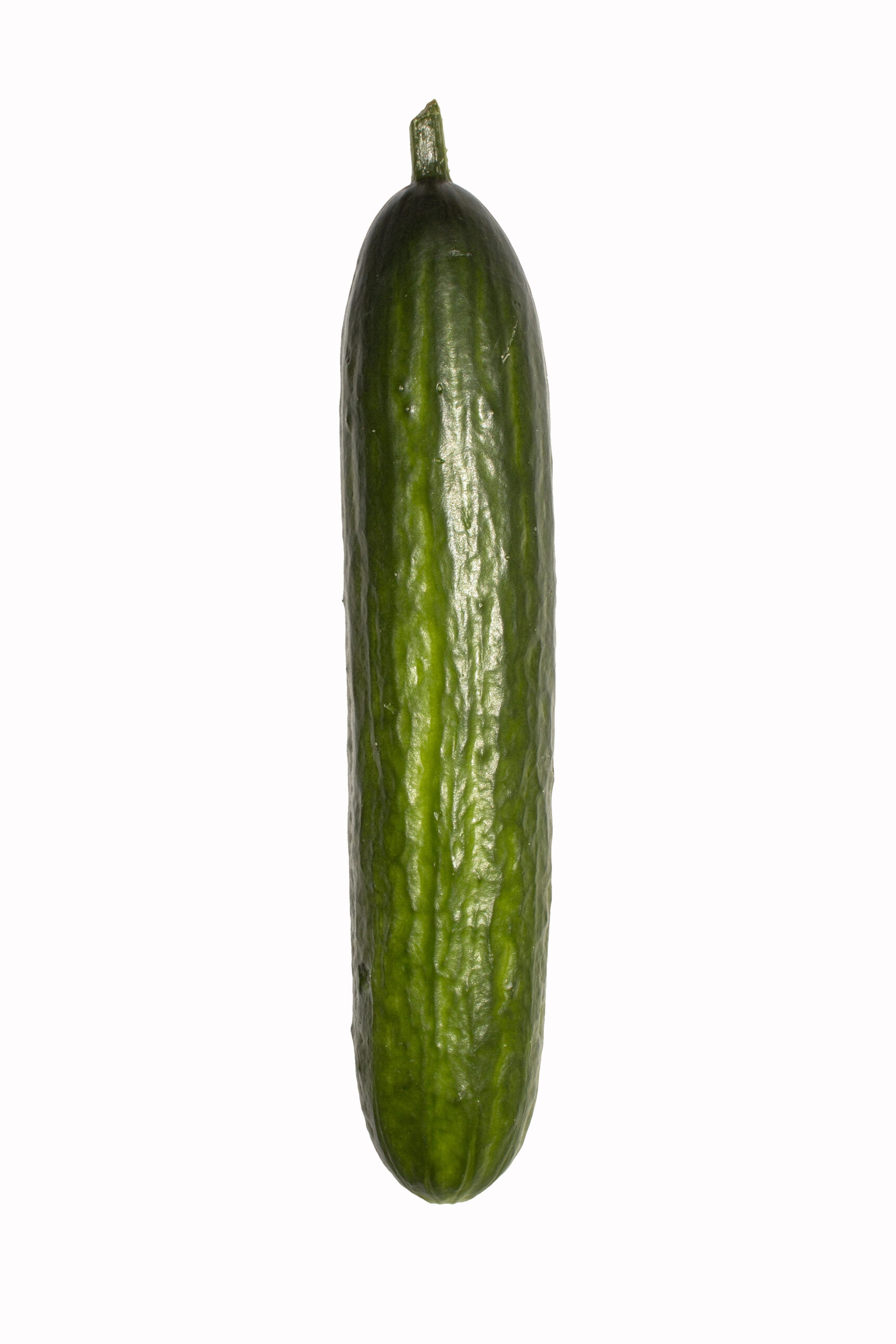 Whole fresh green cucumber