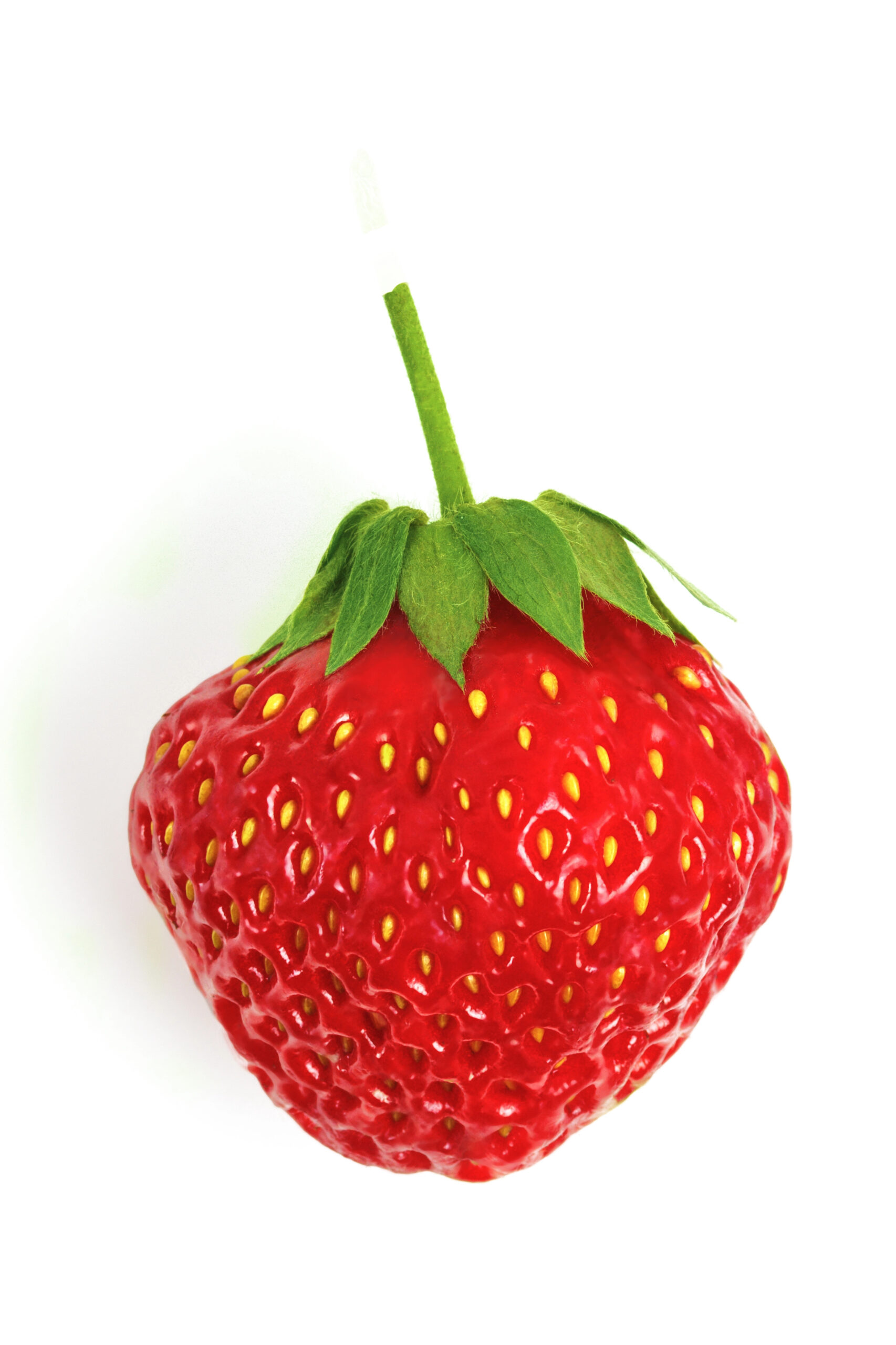 Whole red strawberry with green stem and leaves