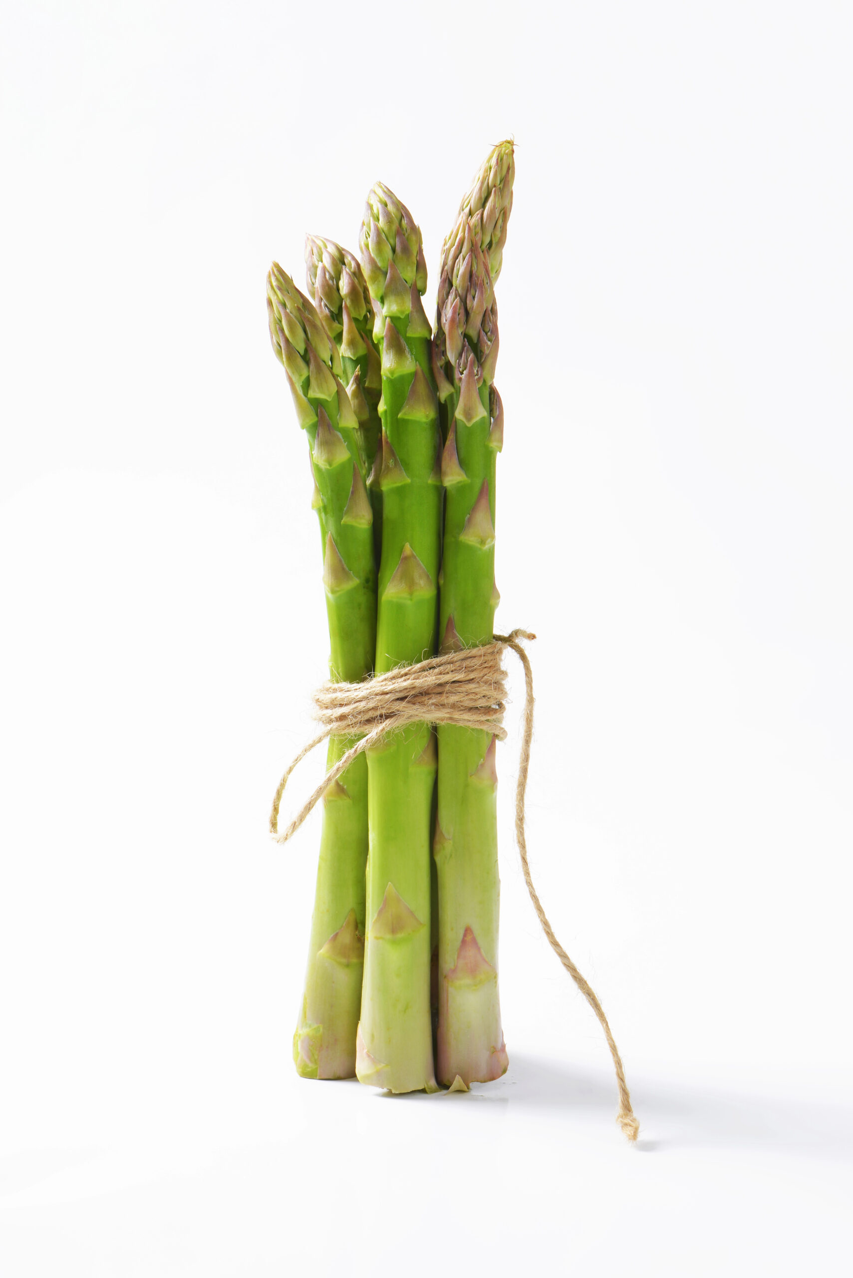 Bundle of fresh green asparagus spears tied together