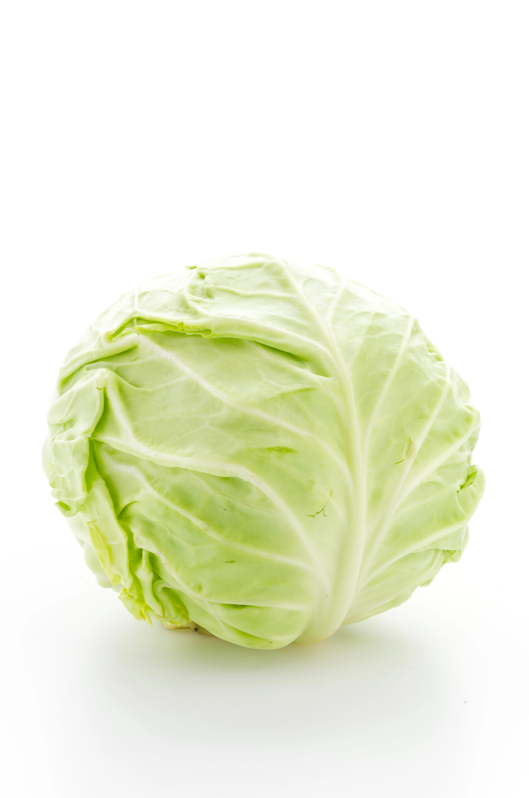 Whole head of green cabbage