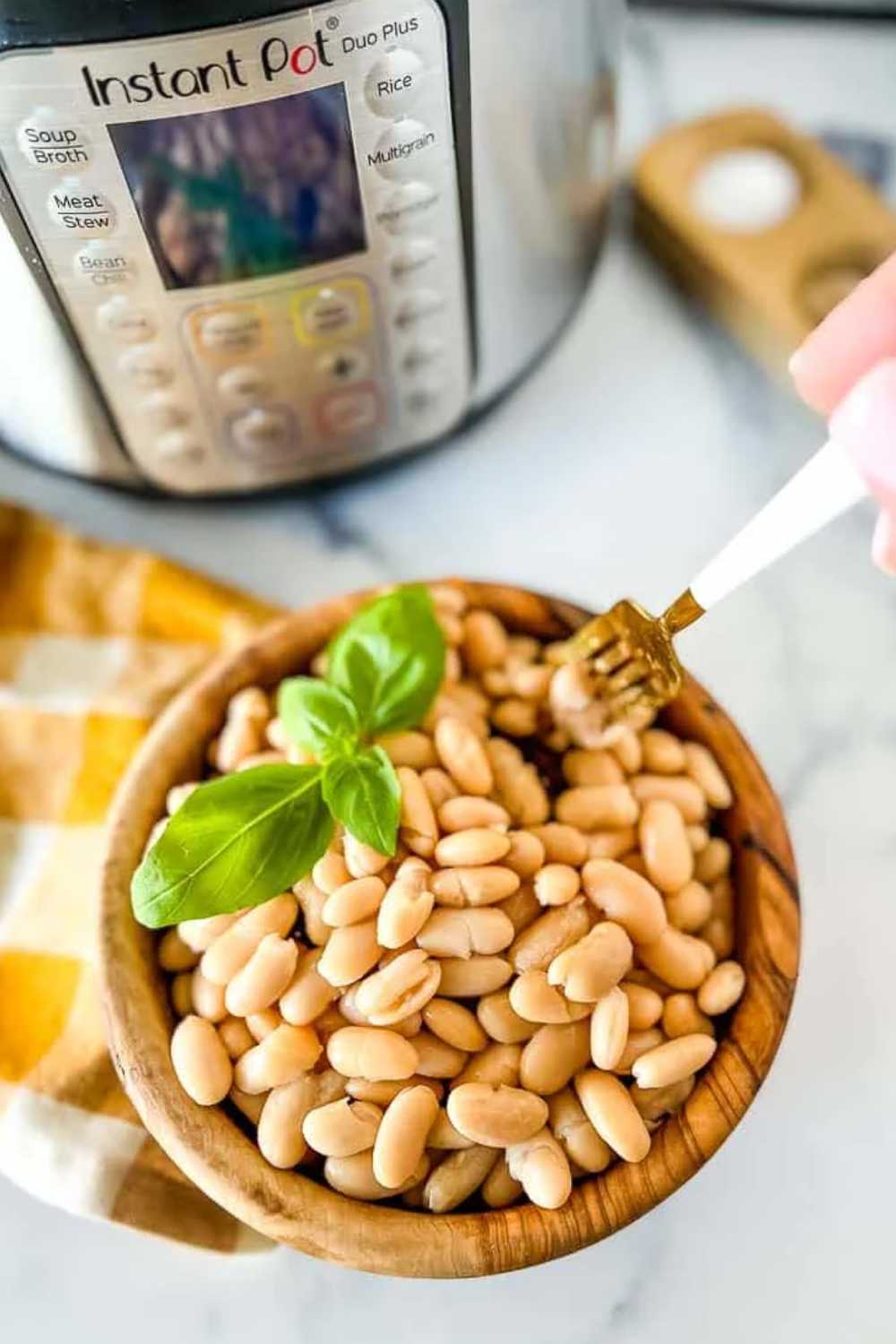 Instant Pot Great Northern Beans