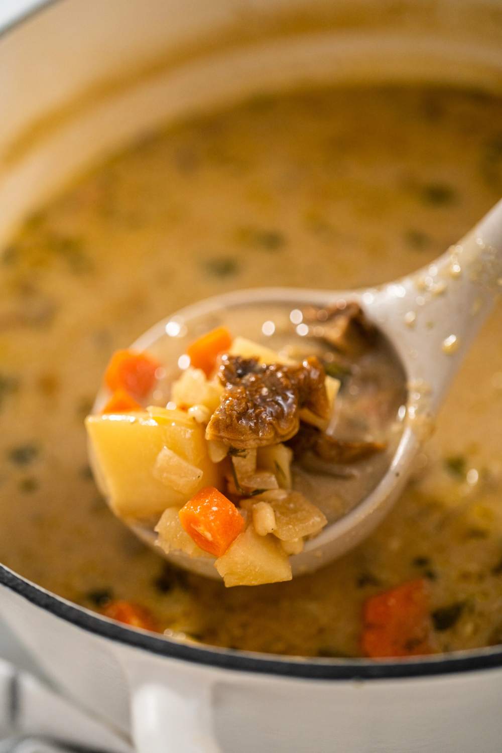 Step 8 Stir In Yogurt & Serve Mushroom Soup