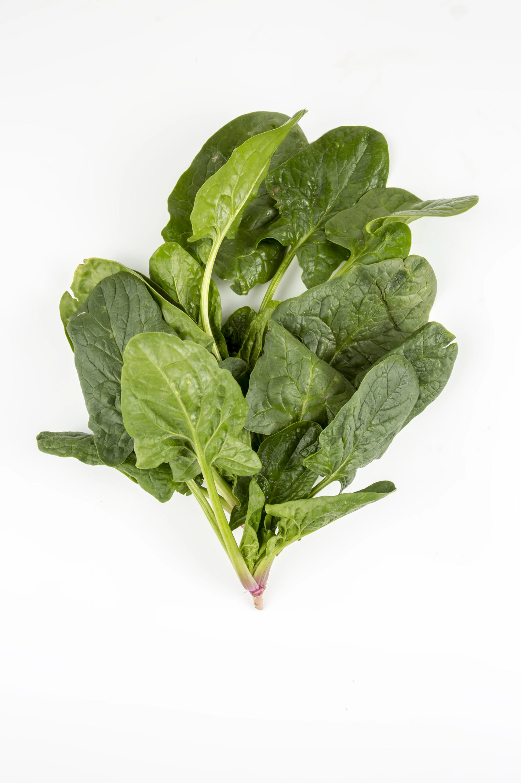 Fresh green spinach bunch from above